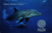 Brevetto Open Water Diver