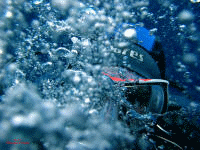Diving Center